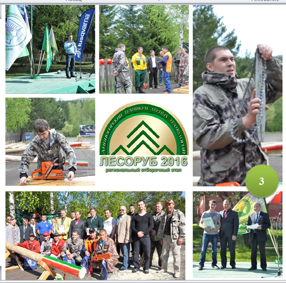 3. Лесоруб 2016