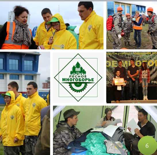 6. Лесное многоборье