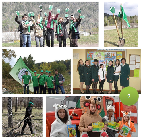 7. Экологическое направление