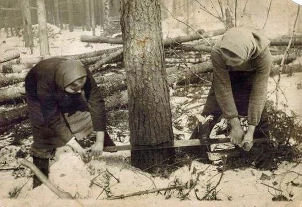 1b21dc108b2a760e0d2ac5929e3a8971