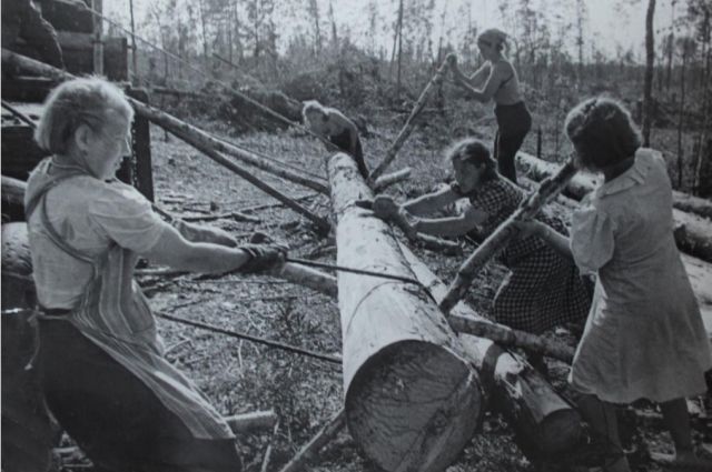 fee3a22444a428be00b96c1d99ea748b