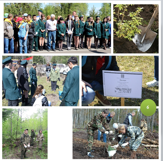 6. посадки леса