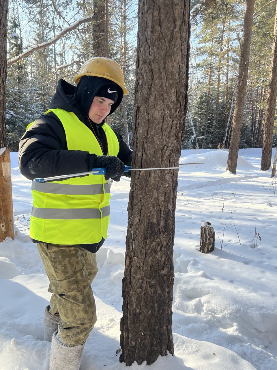 IMG 20260203 102541 001