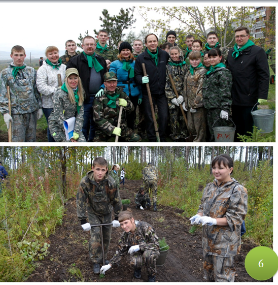 6. посадки леса