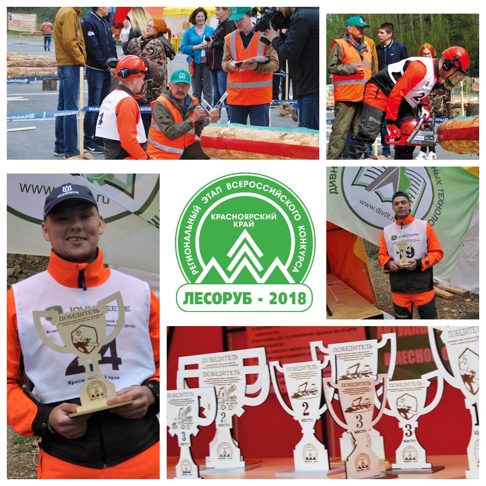 6. лесоруб 2018