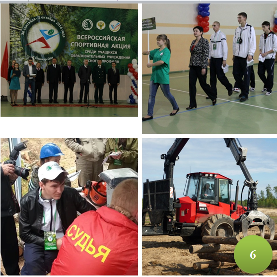 6. лесное многоборье