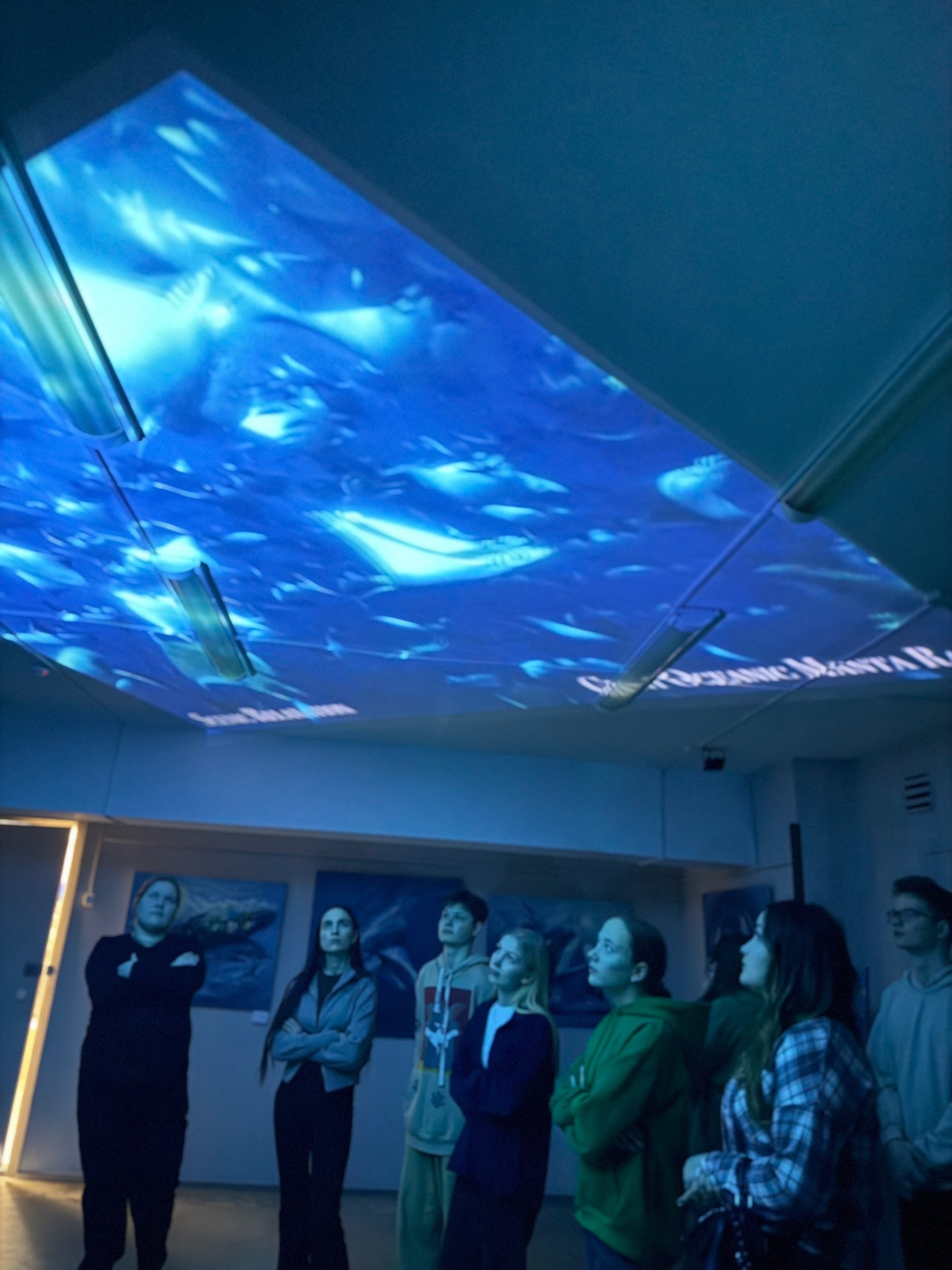 K fRgVn 6HTGRvrehHdc1s QqRpqhHxEJEguxUkmGWOQ0mXymww9up9CNK89nvEc3oTs8 rztkex8jI6zI8f7A0