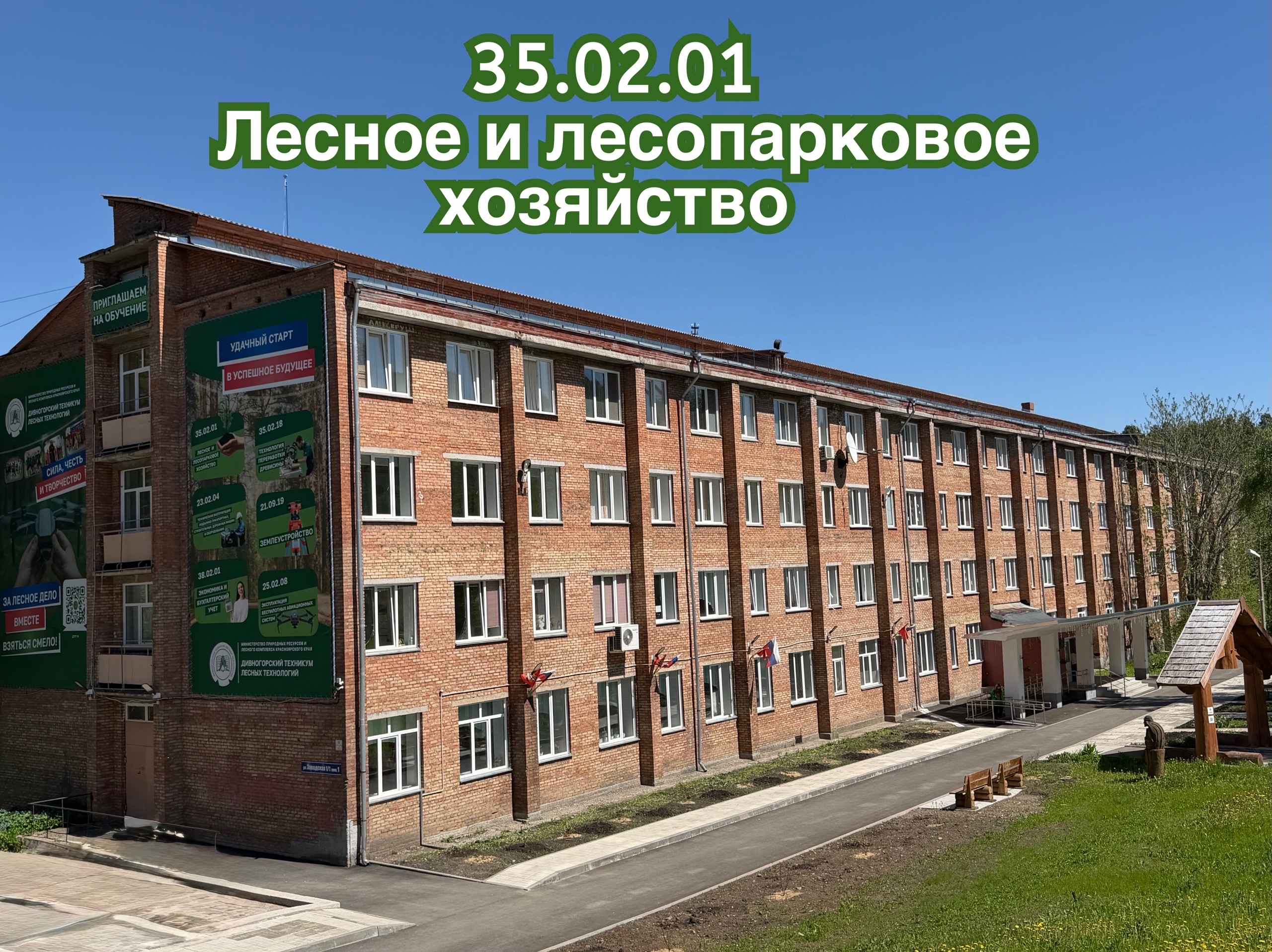 Наша рубрика про специальности: 35.02.01 Лесное и лесопарковое хозяйство