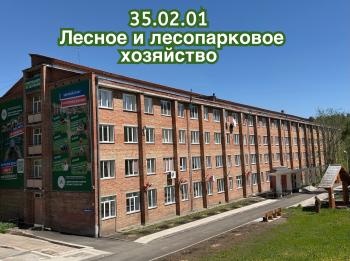 Наша рубрика про специальности: 35.02.01 Лесное и лесопарковое хозяйство